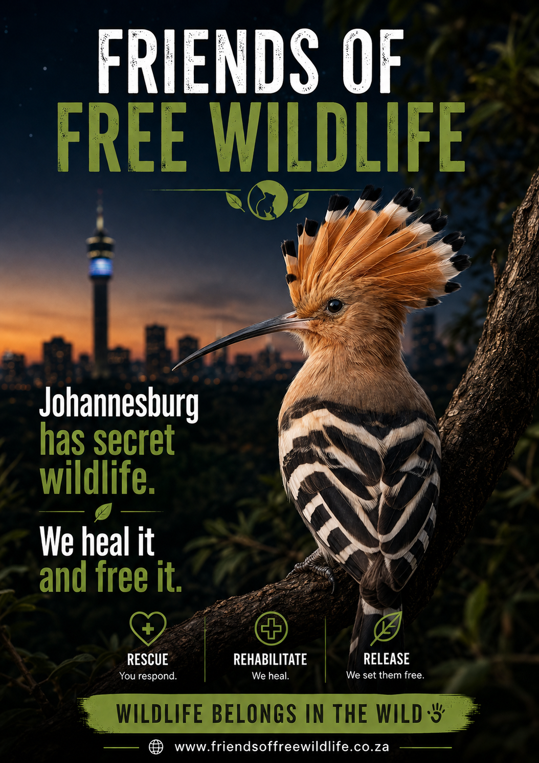 African hoopoe rehabilitation poster